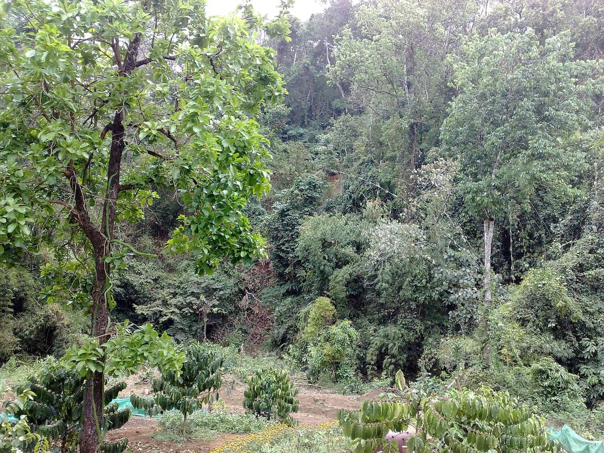 Mondulkiri
