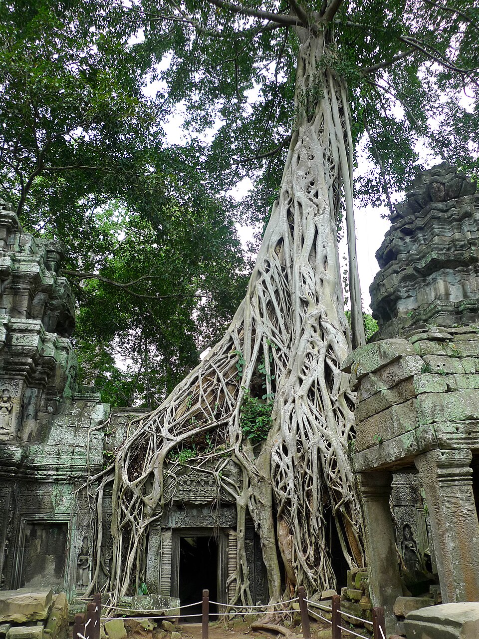 Cambodia